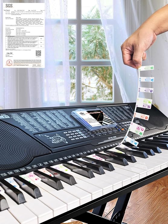 Piano Notes Guide for Beginner, Removable Piano Keyboard Note Labels for Learning, 61-Key standard full-size, Made of Silicone Rubber, No Need Stickers, Reusable and  with Box(Colored-N)