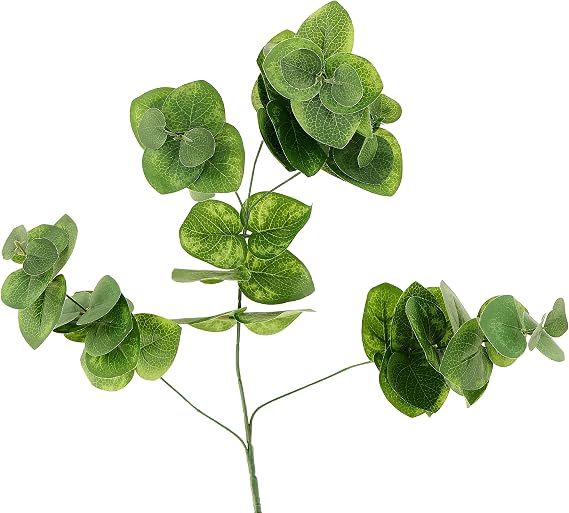 Ashland Green Eucalyptus Branch, 12 Pack