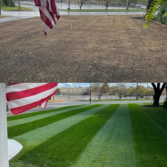 Perennial Ryegrass 10 lbs