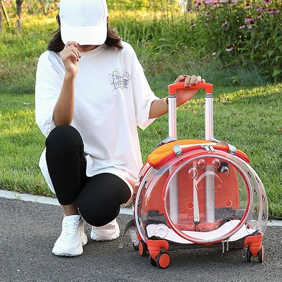 Cat Carrier with Wheels, Transparent Pet Trolley Case, Bubble Cat Carrier Backpack for Small Dogs and Cats, Portable Travel Pet Carrier with Clear Ventilation Holes, for Hiking and Travel Orange