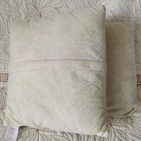 Bed Throw Pillow 20 x 20 Inch Set of 2 Polyester Fiber Stuffer Pillow Decorative Throw Pillow for Home Bed Hotel Car