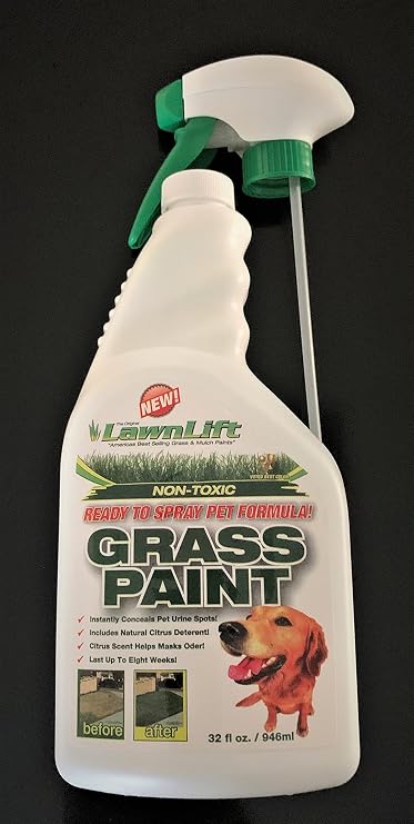 Ready to Spray Lawn Paint, 32 Ounce, Covers up to 100 Spots.
