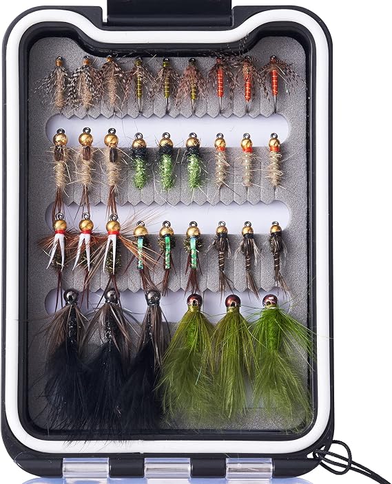 BASSDASH Fly Fishing Flies Kit Fly Assortment Trout Bass Fishing with Fly Box with Dry/Wet Flies, Nymphs, Streamers, Popper