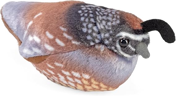 WILD REPUBLIC California Quail
