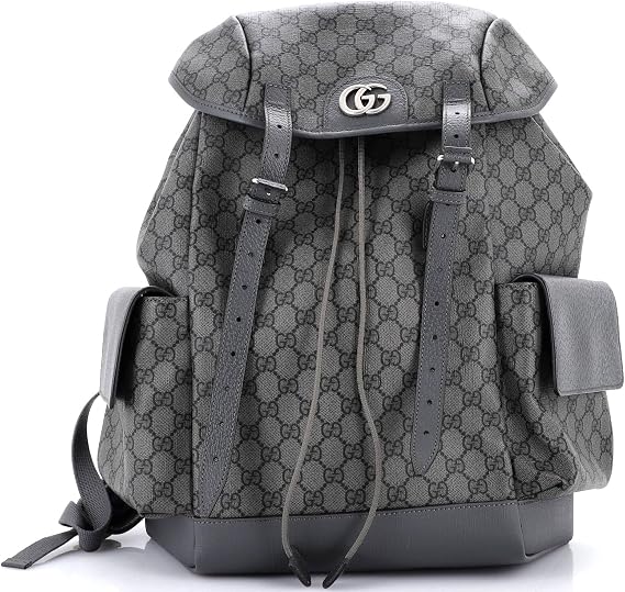 Pre-Loved Ophidia Flap Backpack GG Coated Canvas Medium, Gray