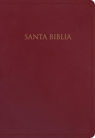 Biblia Reina Valera 1960 para Regalos y Premios. Imitacion piel, borgona | Gift and Award Holy Bible RVR60. Imitation Leather, Burgundy (Spanish Edition)