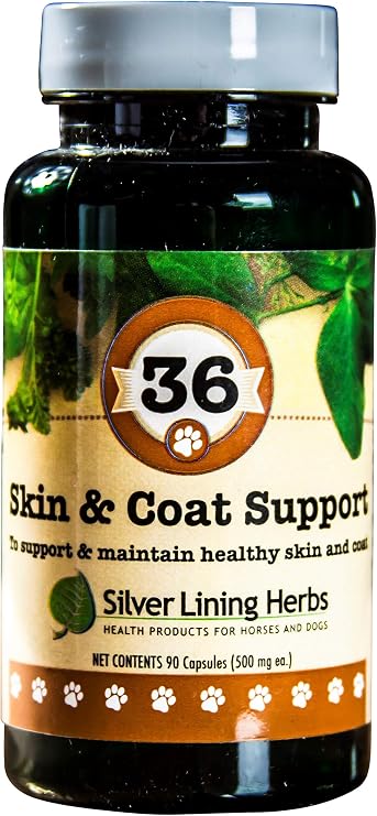 Silver Lining Herbs 36 Canine Skin & Coat Support - Natural Herbal Supplement to Fortify Dogs Against The Environment - Herbal Skin and Coat Supplement for Dogs - 90 Capsules