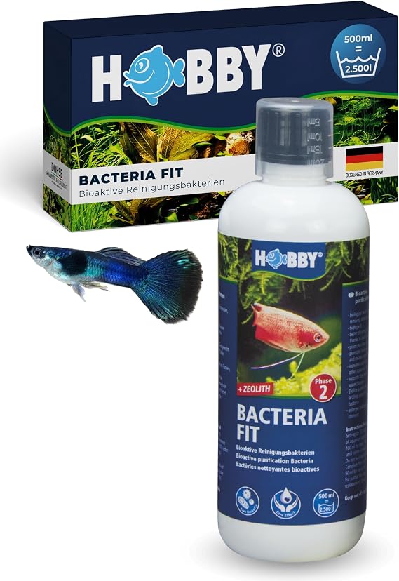 HOBBY Aquaristik Bacteria Fit I 500 ml I bioactive cleaning bacteria for aquariums I Water conditioners for biodegradation of feed residues Ammonium and nitrite I natural water purification