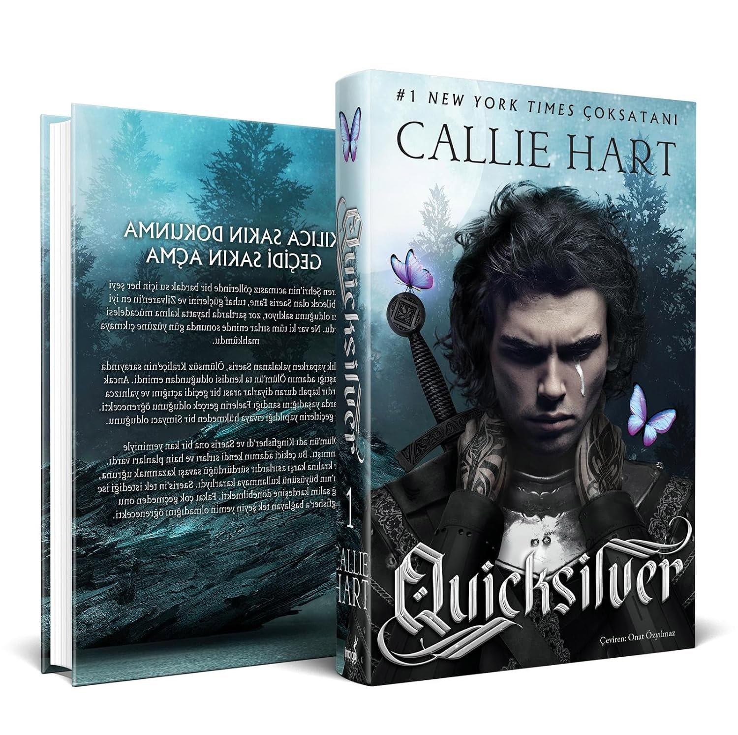 Quicksilver Hardcover Hardcover Cover – May 20, 2025