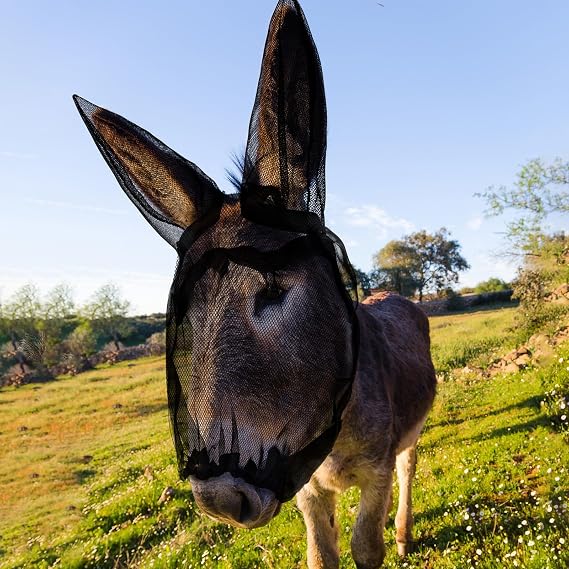 1 Pcs Small Donkey Fly Mask with Ear Protection Breathable Mule Fly Mask with Long Ears Protection from Insects and Bugs Soft Mesh with Adjustable Fastener Easy get on and Off(Black)