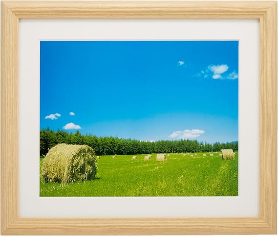 FUJICOLOR YM-3 Series Picture Frame