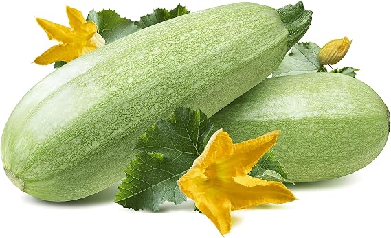 Summer Squash, Zucchini Grey Seeds
