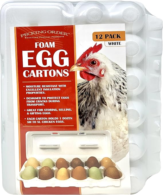 Foam Egg Cartons - White (12-Pack)