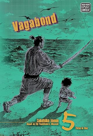 Vagabond, Vol. 5 (VIZBIG Edition)
