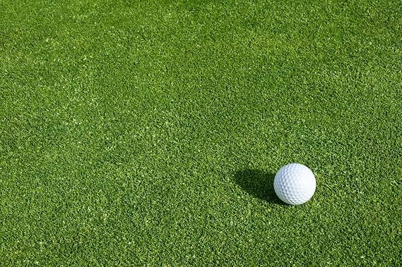 Creeping BentGrass Seeds, 1 Pound